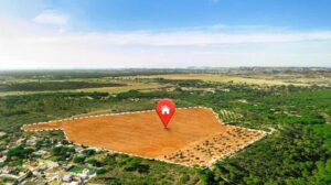 Покупка землі: прозорі угоди на Prozorro.Продажі