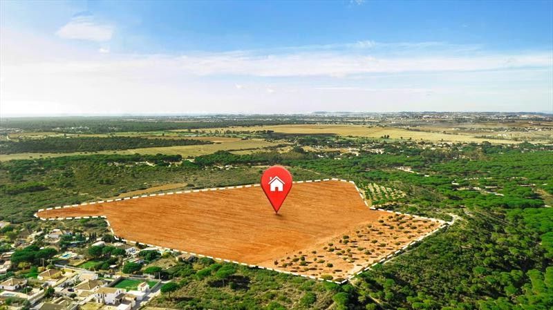 Покупка землі: прозорі угоди на Prozorro.Продажі