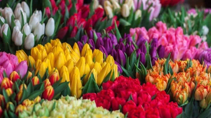 Цветы к 8 марта с Don Pion