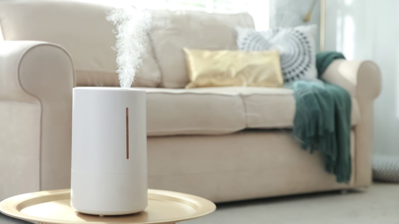 Оптимальний рівень вологості вдома: зволожувачі повітря змінюють наше життя