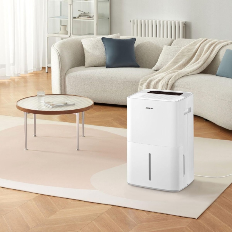 Как выбрать и где купить осушители воздуха