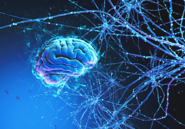 Современные подходы к изучению неврологии