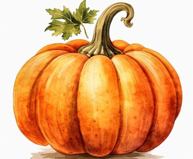 Як намалювати гарбуз: легкі малюнки для дітей