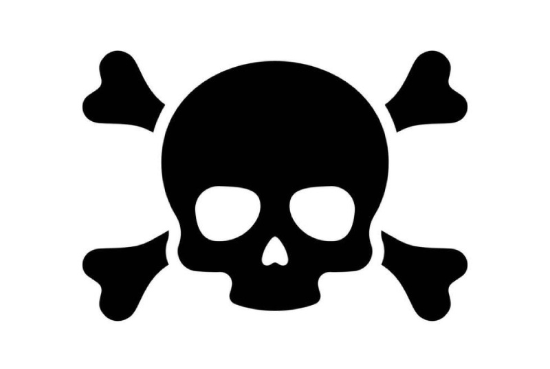 Рисунок черепа: идеи, примеры и советы, как легко нарисовать