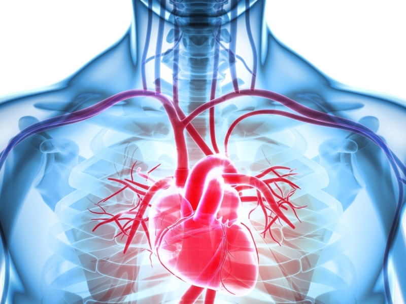 Причини та поширеність ішемічної хвороби серця