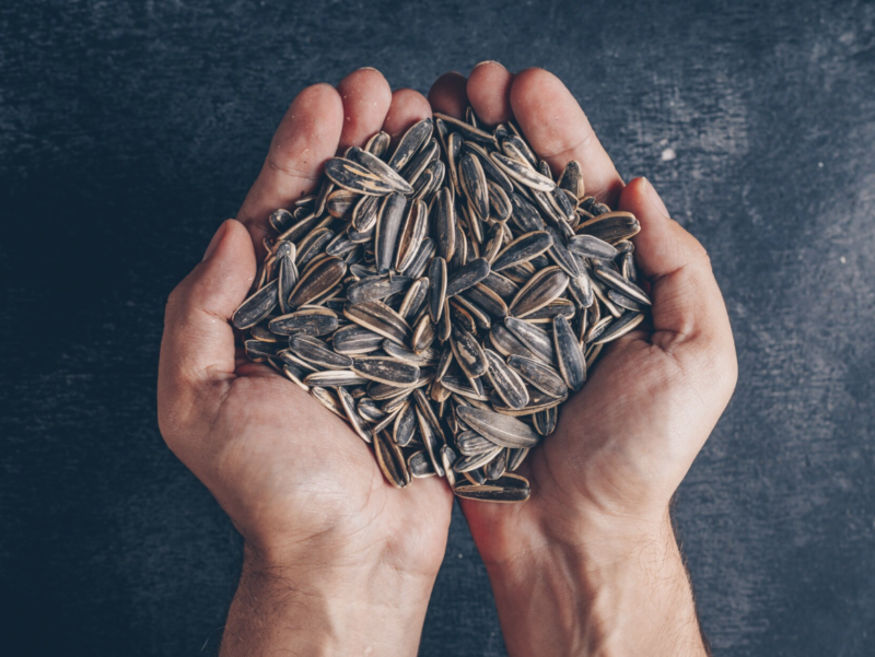 К чему снятся подсолнечные семена женщине или мужчине